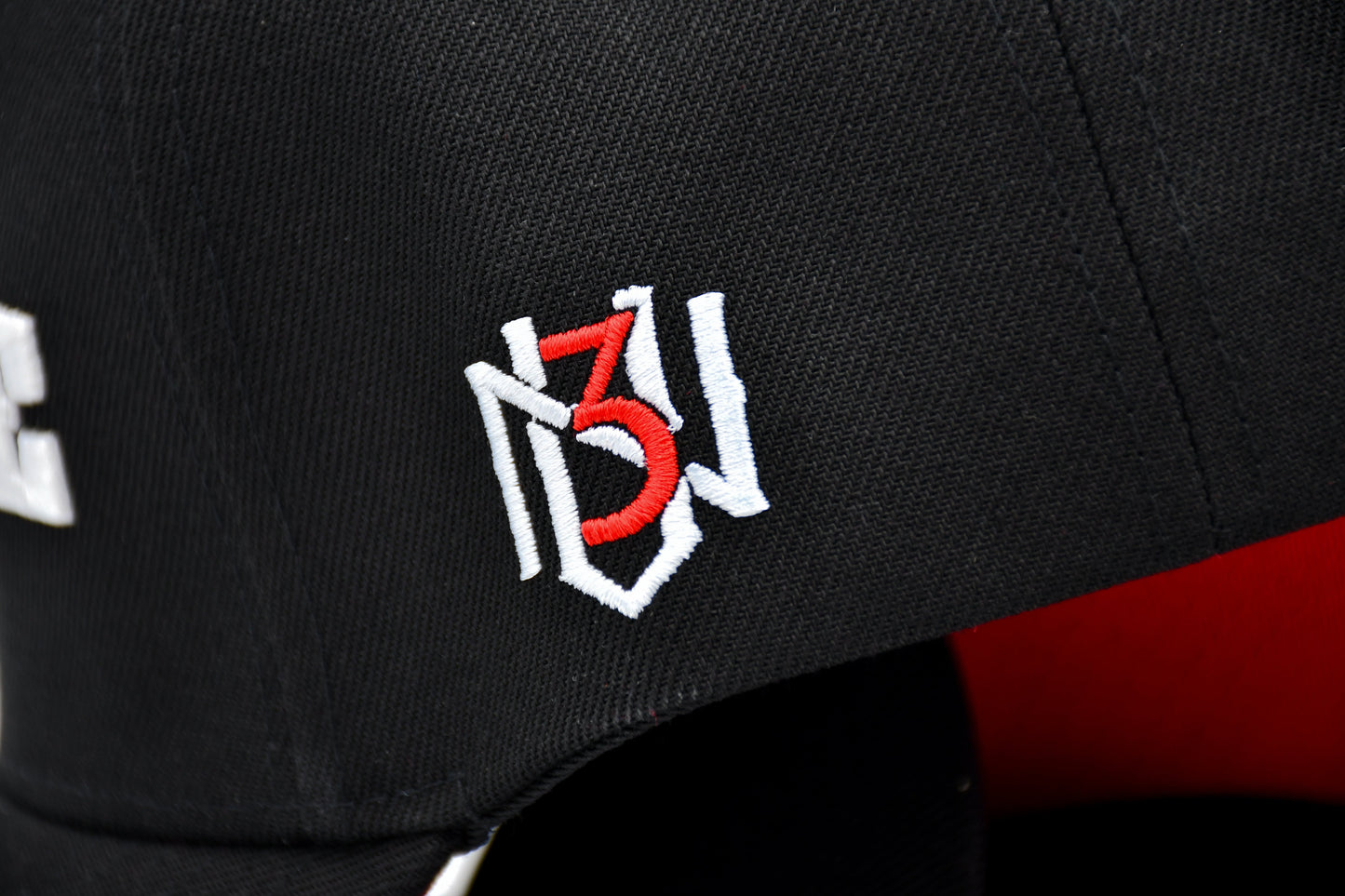 HUSTLE SNAPBACK 3rue Vizion