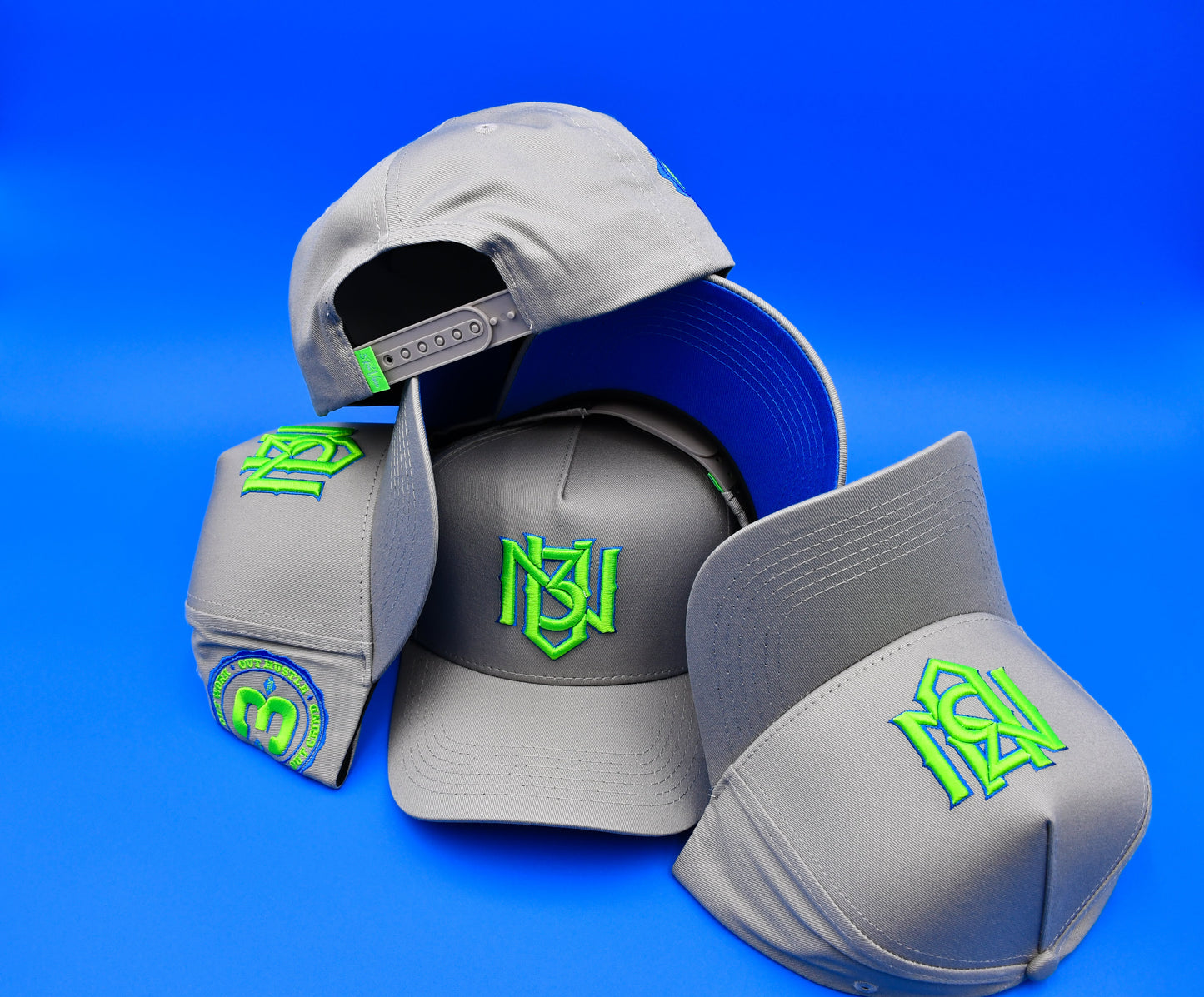 Grey | Neon Green | Royal Blue - Snapback 3rue Vizion
